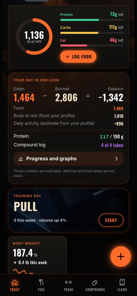 Iron X Log app, Today screen