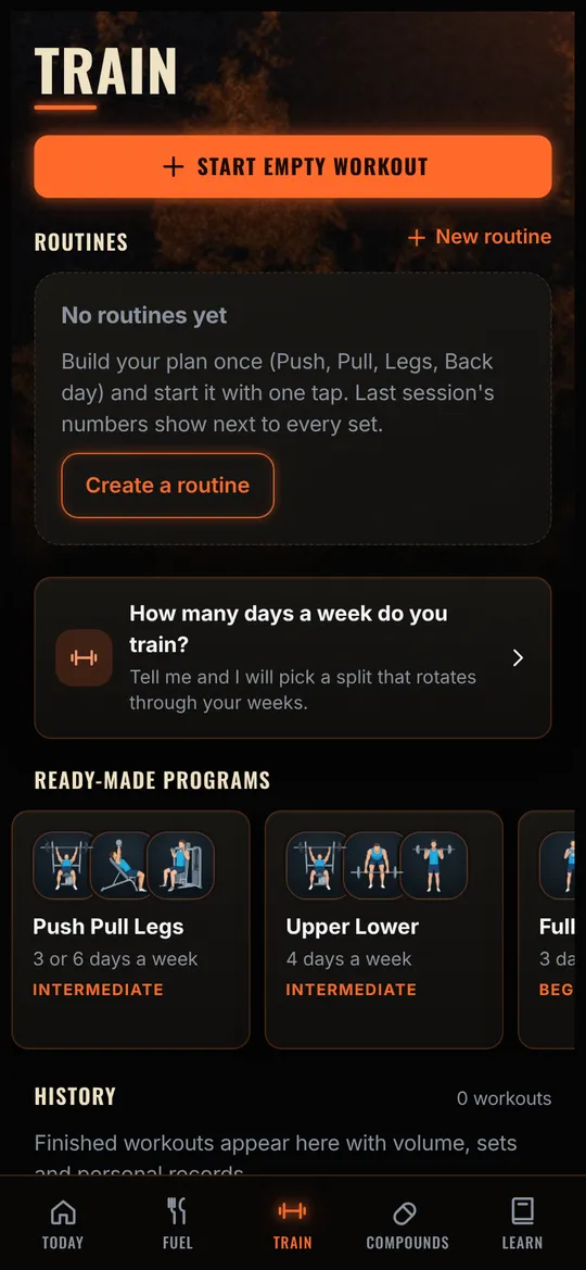 Iron X Log app, Workout screen