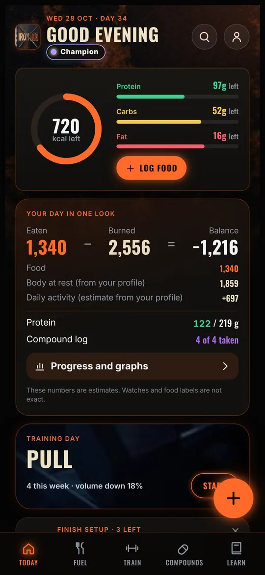 Iron X Log app, Today screen